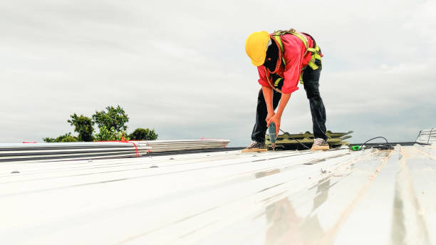 Best Skylight Installation and Repair  in Vienna, GA