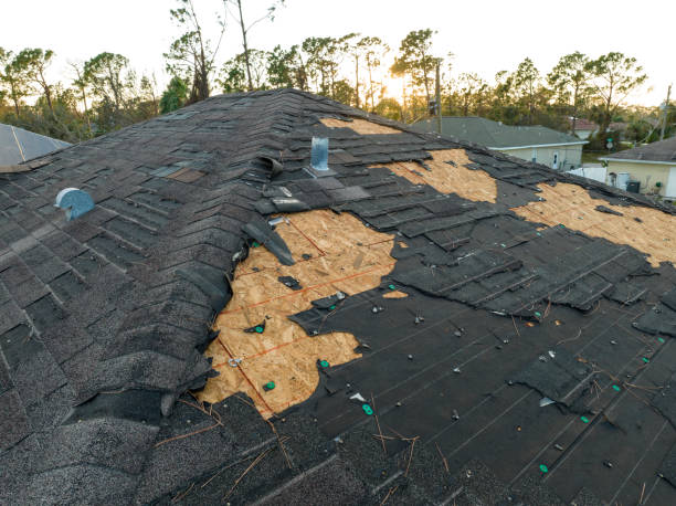 Best Roof Moss and Algae Removal  in Vienna, GA