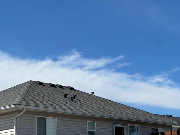 Best Asphalt Shingles Roofing  in Vienna, GA